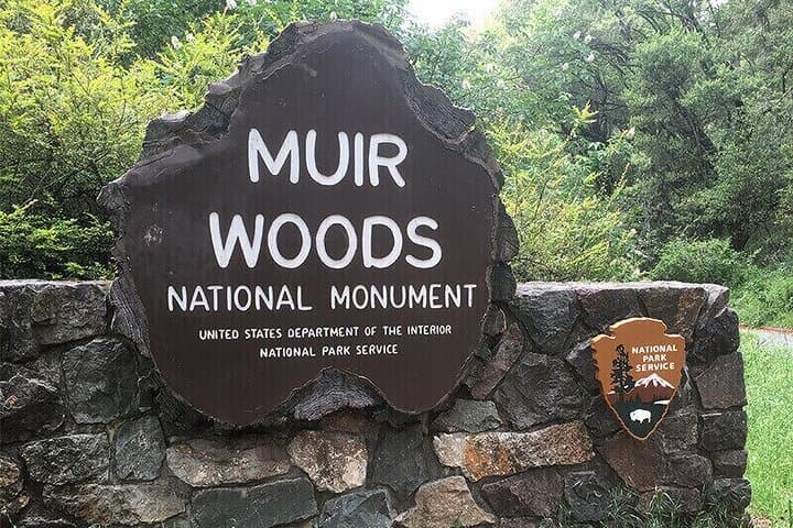 Muir Woods & Sausalito Small-Group Tour: Redwoods, Bay Views & Easy Exploration