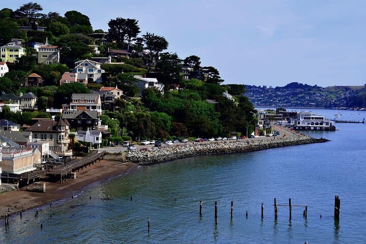 Muir Woods & Sausalito Small-Group Tour: Redwoods, Bay Views & Easy Exploration photo 6