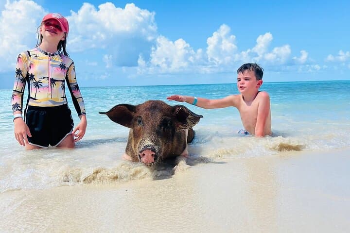 Rose Island Beach Day: Swimming Pigs, Turtle Sanctuary & Reef Snorkel from Nassau