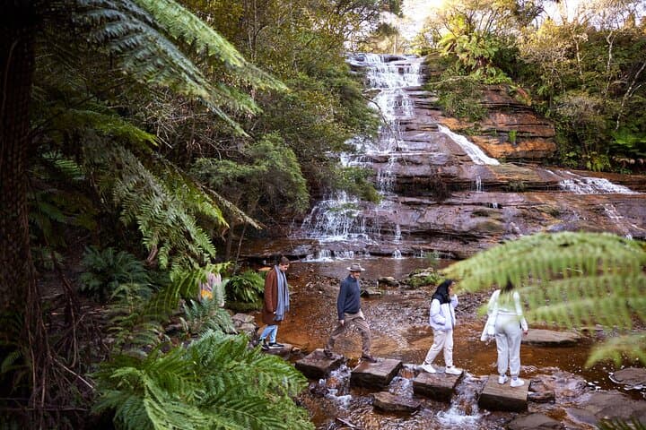 Blue Mountains Sunset Tour from Sydney: Kangaroos, Waterfalls & Three Sisters at Golden Hour photo 2