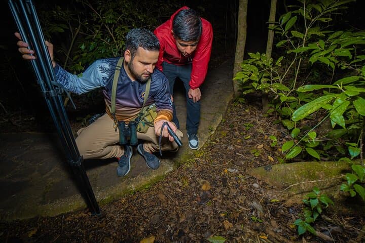 Monteverde Cloud Forest Night Walk: Guided Nocturnal Wildlife Experience photo 4
