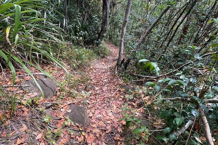 Marigot Bay Billy Goat Trail Hike — St. Lucia Coastal Summit Trek photo 4