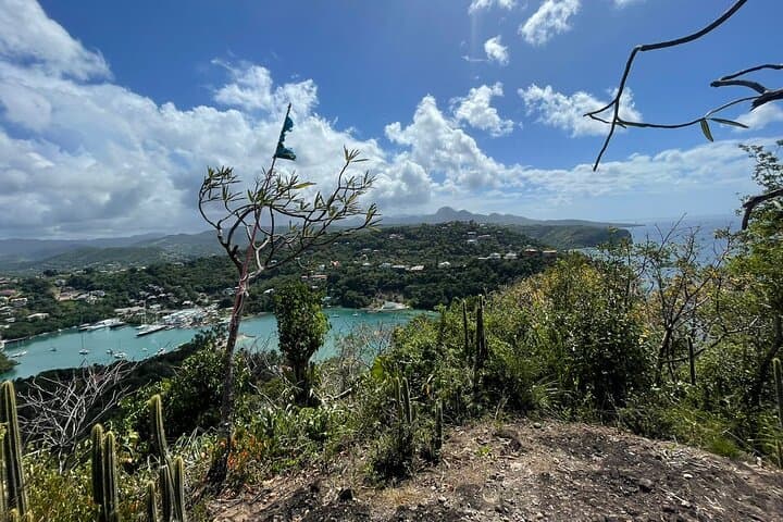 Marigot Bay Billy Goat Trail Hike — St. Lucia Coastal Summit Trek photo 5