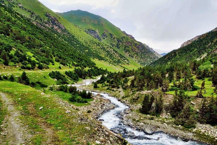 Loop Trek of Sary Mogol — 4-Day High-Pass Trek in Kyrgyzstan's Alai Valley