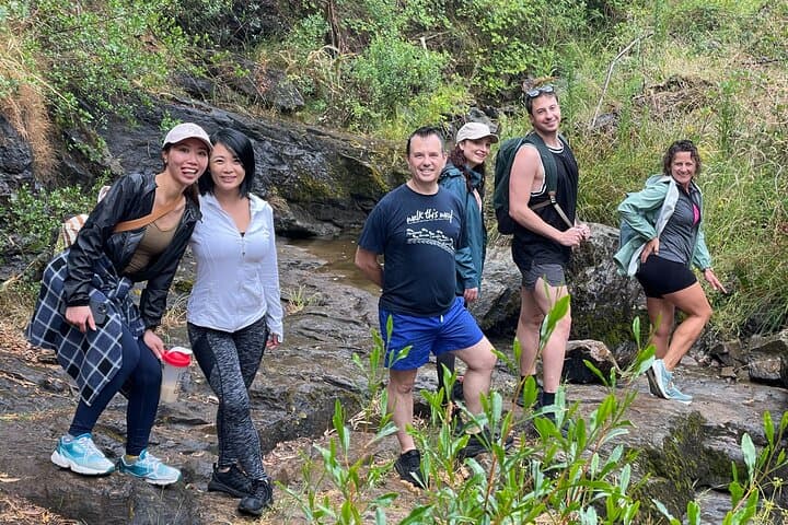 Morialta Falls Hike — Gorges, Wildlife & Waterfalls from Adelaide