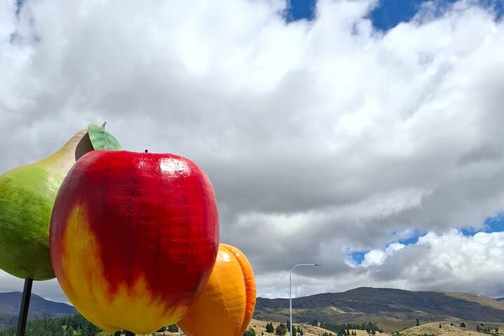 2-Day Private Dunedin to Queenstown & Wanaka Scenic Drive photo 2