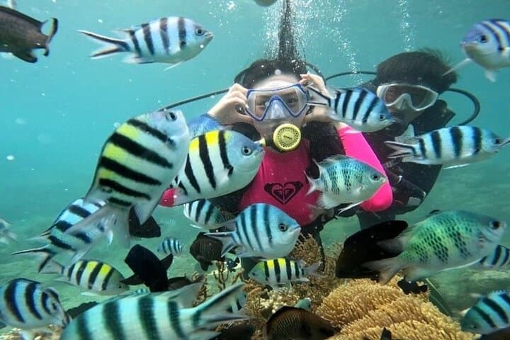 Nha Trang Coral Reef Snorkeling & Floating Bar Party — Day Cruise with SUP, Kayak & Seafood