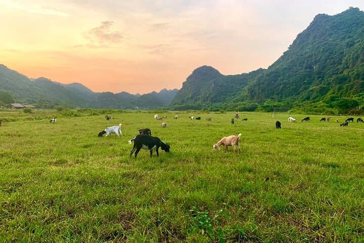 3-Day Lan Ha Bay & Cat Ba Island: Homestay, Cruise & Kayak Adventure from Hanoi photo 4