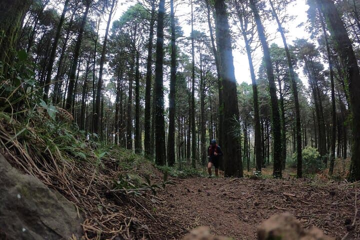 Trail Running the Lousã Schist Villages: Technical Singletrack Near Coimbra photo 3