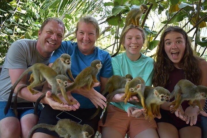 Monkey Mania Puerto Plata: Squirrel Monkey Encounters & Puerto Plata Highlights