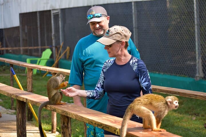 Monkey Mania Puerto Plata: Squirrel Monkey Encounters & Puerto Plata Highlights photo 2