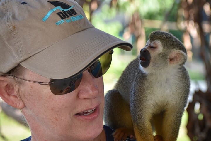 Monkey Mania Puerto Plata: Squirrel Monkey Encounters & Puerto Plata Highlights photo 4