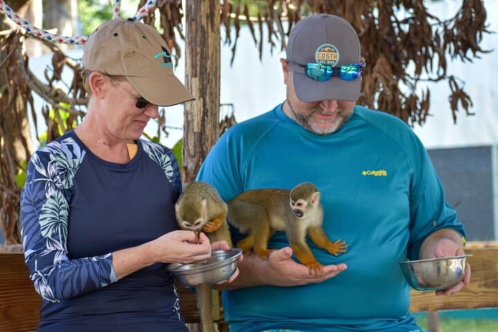 Monkey Mania Puerto Plata: Squirrel Monkey Encounters & Puerto Plata Highlights photo 5