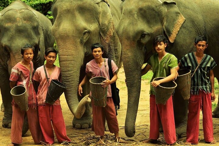 Phuket Elephant Sanctuary & Karen Tribe Immersion: Ethical Elephant Encounters and Jungle Walk photo 4
