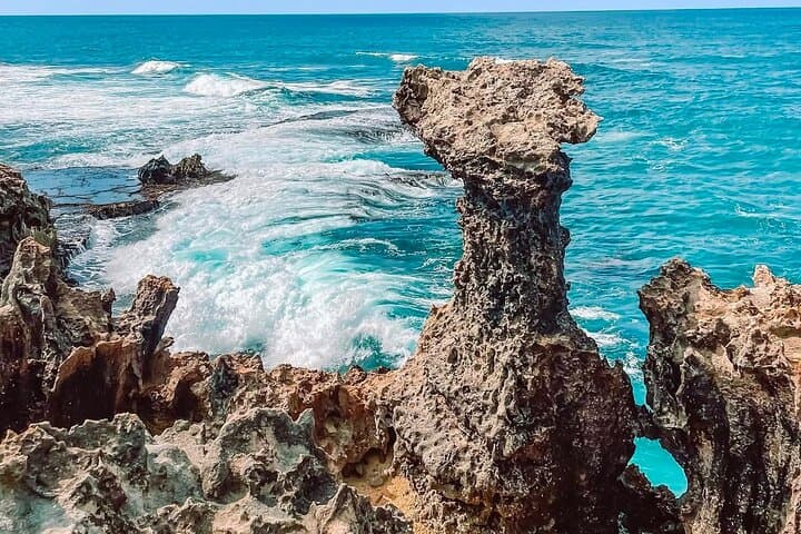 East Coast Speedboat: 5-Island Snorkel & Waterfall Discovery (Mauritius) photo 6