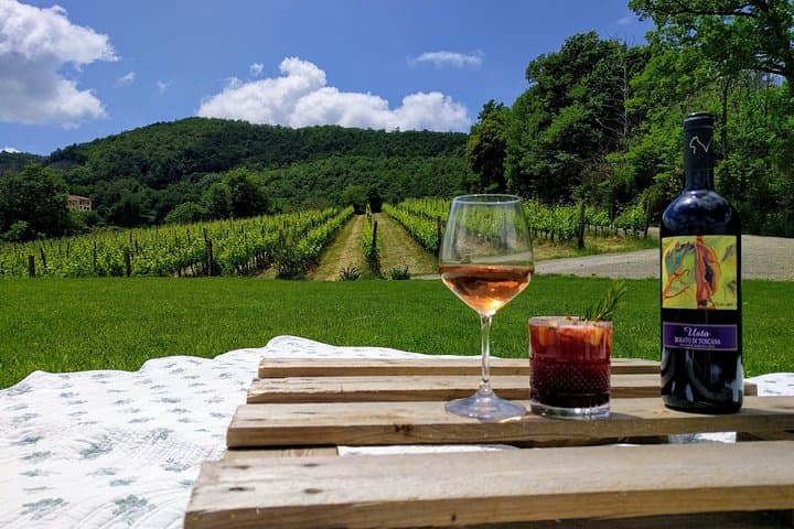 Montepulciano Vineyard Picnic: Wine, Cellar Tour & Valdichiana Views photo 1