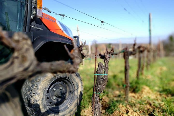 Montepulciano Vineyard Picnic: Wine, Cellar Tour & Valdichiana Views photo 3