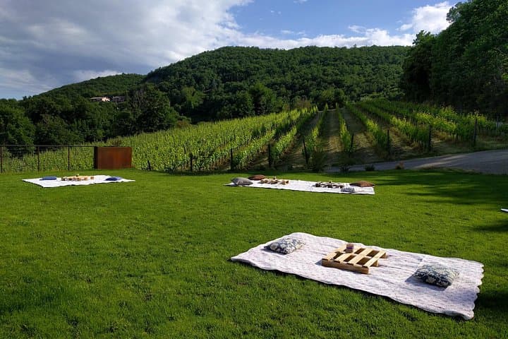 Montepulciano Vineyard Picnic: Wine, Cellar Tour & Valdichiana Views photo 4
