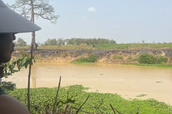 Hippo Watching Tour from Abidjan — Agneby-Tiassa River Walk & Forest Coffee photo 3