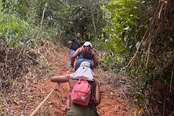 Hippo Watching Tour from Abidjan — Agneby-Tiassa River Walk & Forest Coffee photo 2
