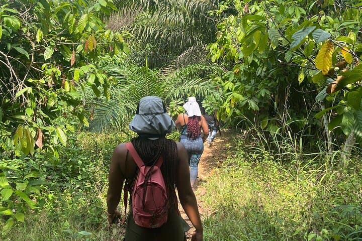 Hippo Watching Tour from Abidjan — Agneby-Tiassa River Walk & Forest Coffee photo 4
