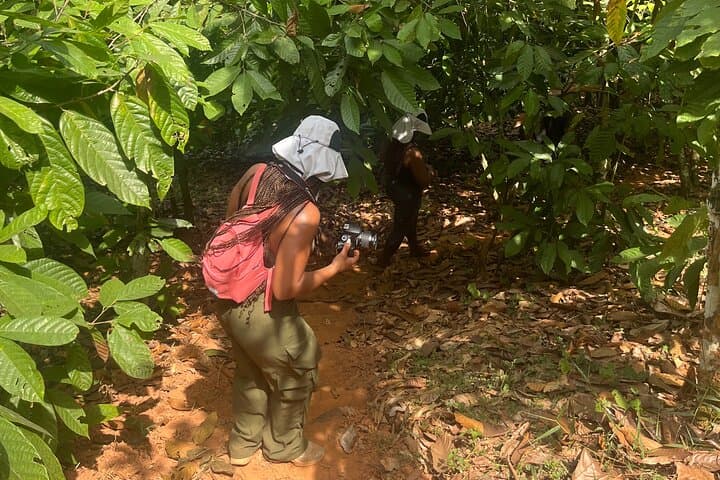 Hippo Watching Tour from Abidjan — Agneby-Tiassa River Walk & Forest Coffee photo 5