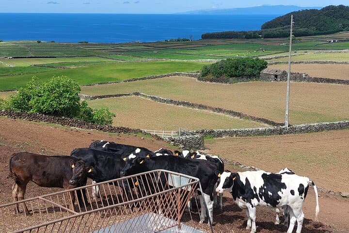 E-Bike the West Side: Terceira’s Coastal Circuit photo 4