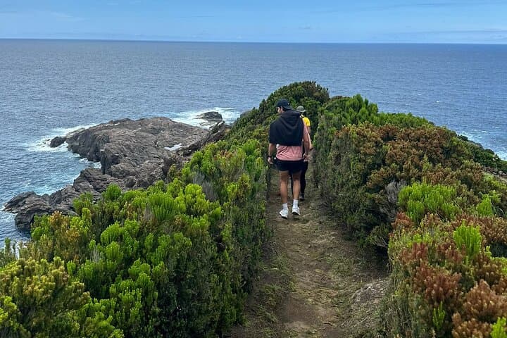 Hiking Baías da Agualva: Coastal Basalt Walk on Terceira Island photo 3