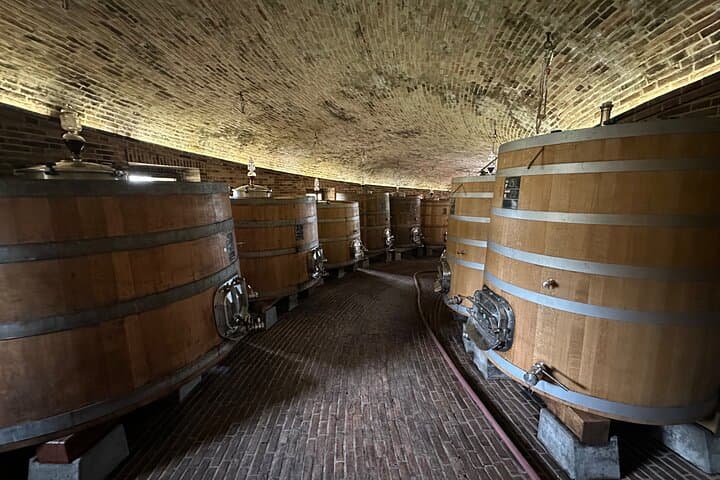 Exclusive Montalcino Wine Experience: Private Winery Tour & Gourmet Lunch