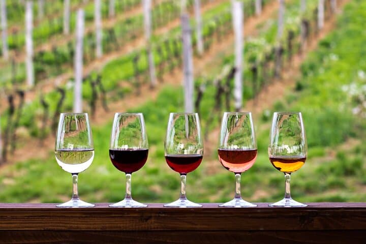 Exclusive Montalcino Wine Experience: Private Winery Tour & Gourmet Lunch photo 3