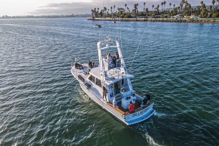 Private Luxury Whale Watching Tour in San Diego — 4–5 Hour Mission Bay Charter photo 2