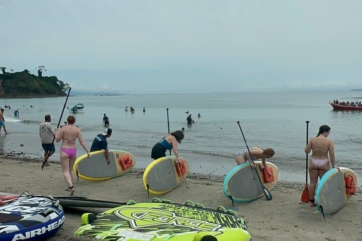 Paddle Punta Leona: SUP Tour on White Sand Beaches from Jaco photo 6