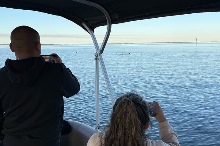 Destin Pontoon Cruise: 90-Minute Harbor & Choctawhatchee Bay Tour photo 5