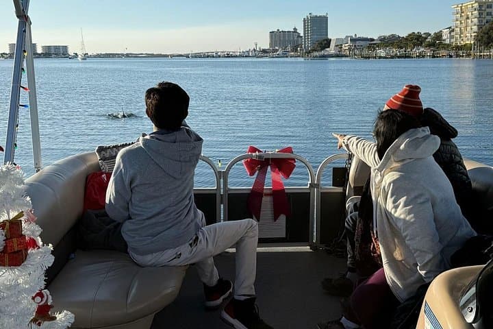 Destin Pontoon Cruise: 90-Minute Harbor & Choctawhatchee Bay Tour photo 3