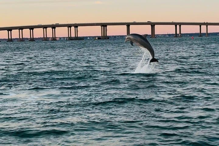 Destin Pontoon Cruise: 90-Minute Harbor & Choctawhatchee Bay Tour