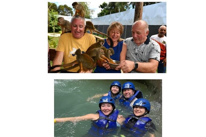 Monkey Interaction and Damajagua Waterfalls: Puerto Plata Day Adventure