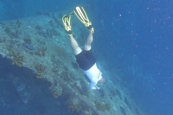 Private Boat Tour and Snorkel Shipwrecks in Aruba photo 4