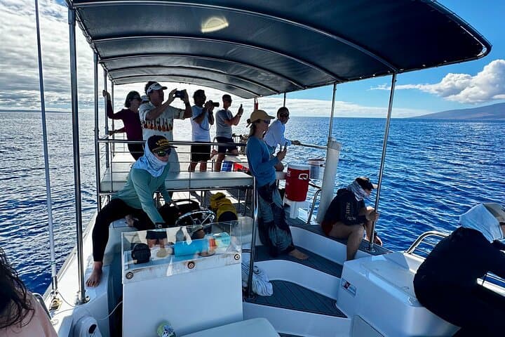 Maui Midday Whale Watch — Lahaina Mid Day Magic Boat Tour photo 4
