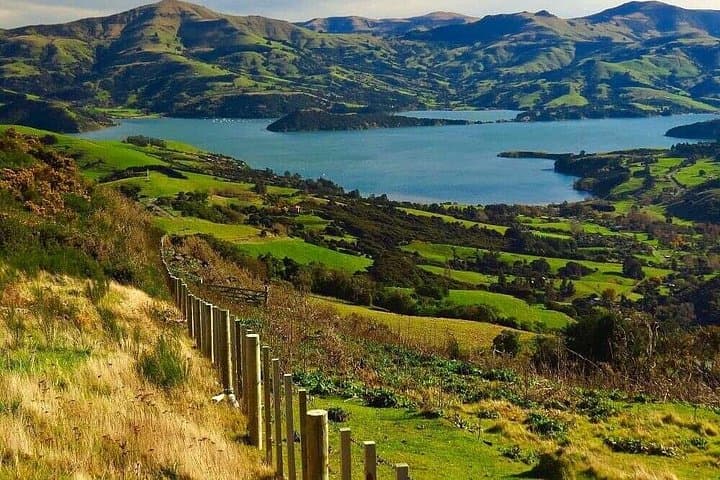 Akaroa Private Day Trip from Christchurch: Banks Peninsula Dolphin Cruise & Cheese Tasting photo 1