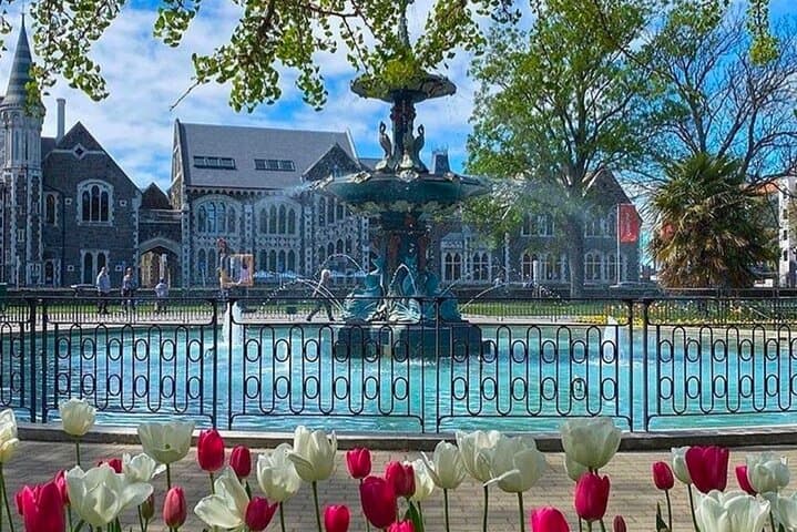Christchurch Private Day Tour — Gondola Views, Botanic Gardens & Antarctic Centre photo 2