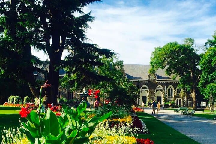 Christchurch Private Day Tour — Gondola Views, Botanic Gardens & Antarctic Centre photo 3