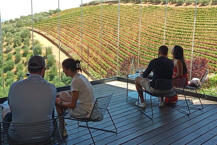 Full-Day Stellenbosch and Franschhoek Wine Tram: Full-Day Tram Wine Tasting from Cape Town photo 3