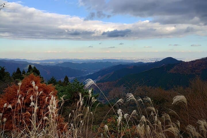 Private Day Hikes from Tokyo: Shrines, Mountain Villages and Mt Fuji Views photo 1