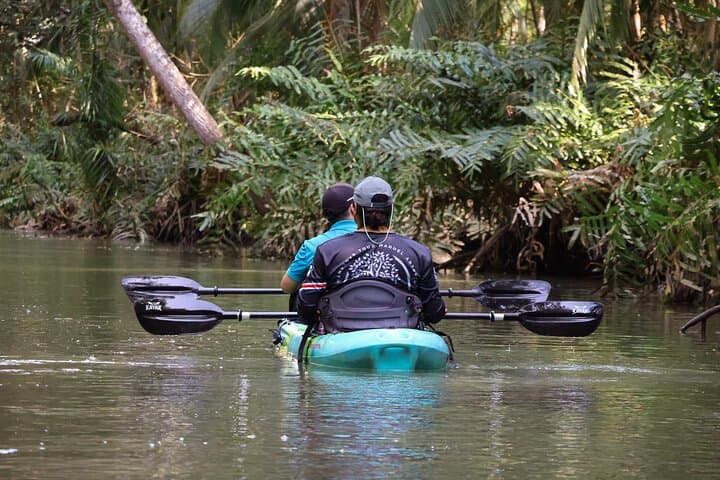Manuel Antonio Mangrove Kayak Tour — Paddle Through Quepos Estuary photo 6