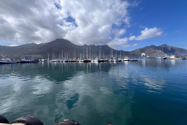 Cape Peninsula Private Full-Day Tour: Cape of Good Hope, Penguins & Groot Constantia Wine Tasting