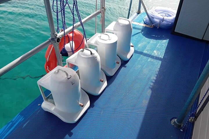 Undersea Helmet Walk in Protaras — Mediterranean Sea Floor Experience photo 6