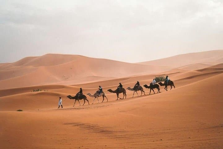 7-Day Agadir Land & Sea Adventure: Quad, Jet-Ski, Hammam & Little Sahara photo 2