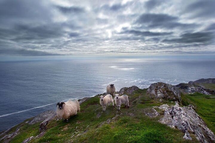 Explore Ireland’s Ring of Kerry and Dingle Peninsula: A Private 2-Day Immersive Tour photo 3