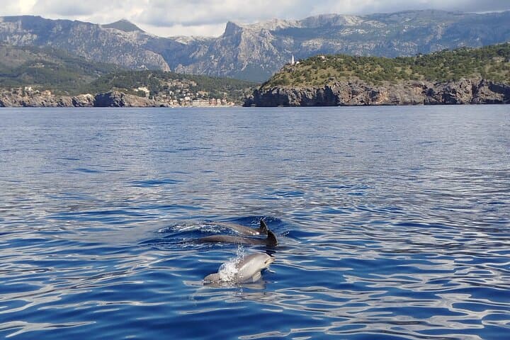 Private Half-Day Sailing from Port de Sóller — Cala Hopping & Snorkel in Mallorca photo 4
