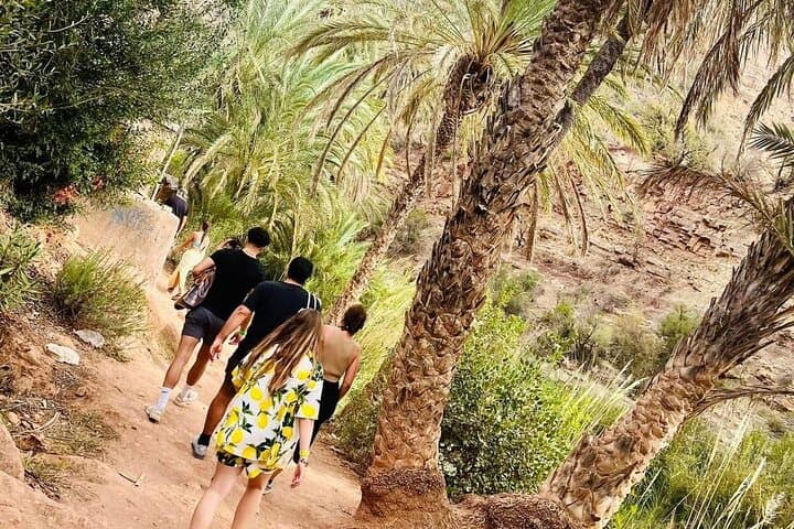 Paradise Valley Day Trip from Agadir: Hike, Swim & Cliff Jump in the Atlas